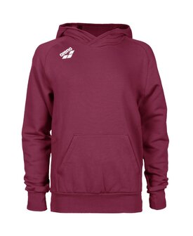 Arena Jr Team Hooded Sweat Panel redfandango 10-11